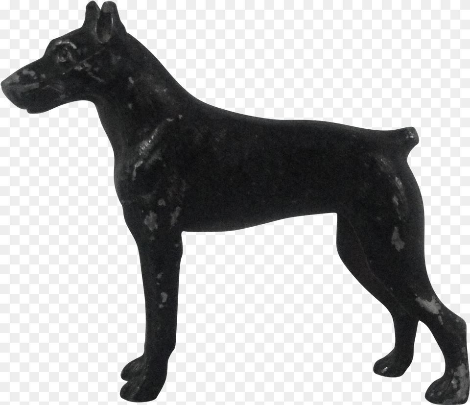 Miniature Schnauzer Giant Schnauzer Miniature Pinscher Algerian Dog, Animal, Pet, Mammal, Canine Png