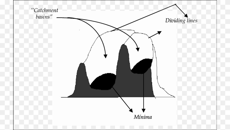 Minima Catchment Basins And Dividing Lines Diagram, Chart, Plot, Animal, Fish Free Png Download