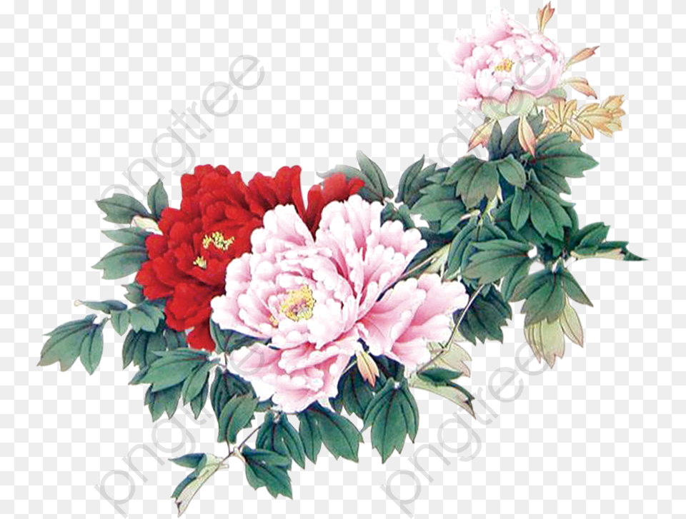 Minimalist Aesthetic Flowers Beautiful Aesthetic Flowerrs, Plant, Flower, Flower Bouquet, Flower Arrangement Png