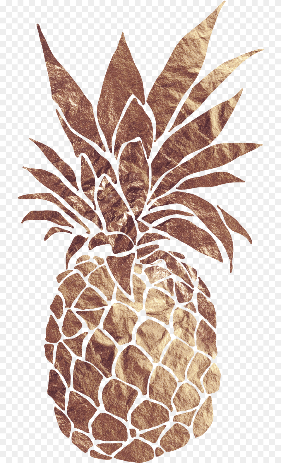 Minimalist Black And White Art, Food, Fruit, Pineapple, Plant Free Png