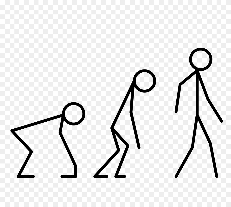 Minimalist Evolution Clipart, Person, Walking, Text Free Png Download