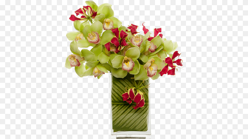 Minimalist Flower Composition, Art, Floral Design, Flower Arrangement, Flower Bouquet Free Png Download