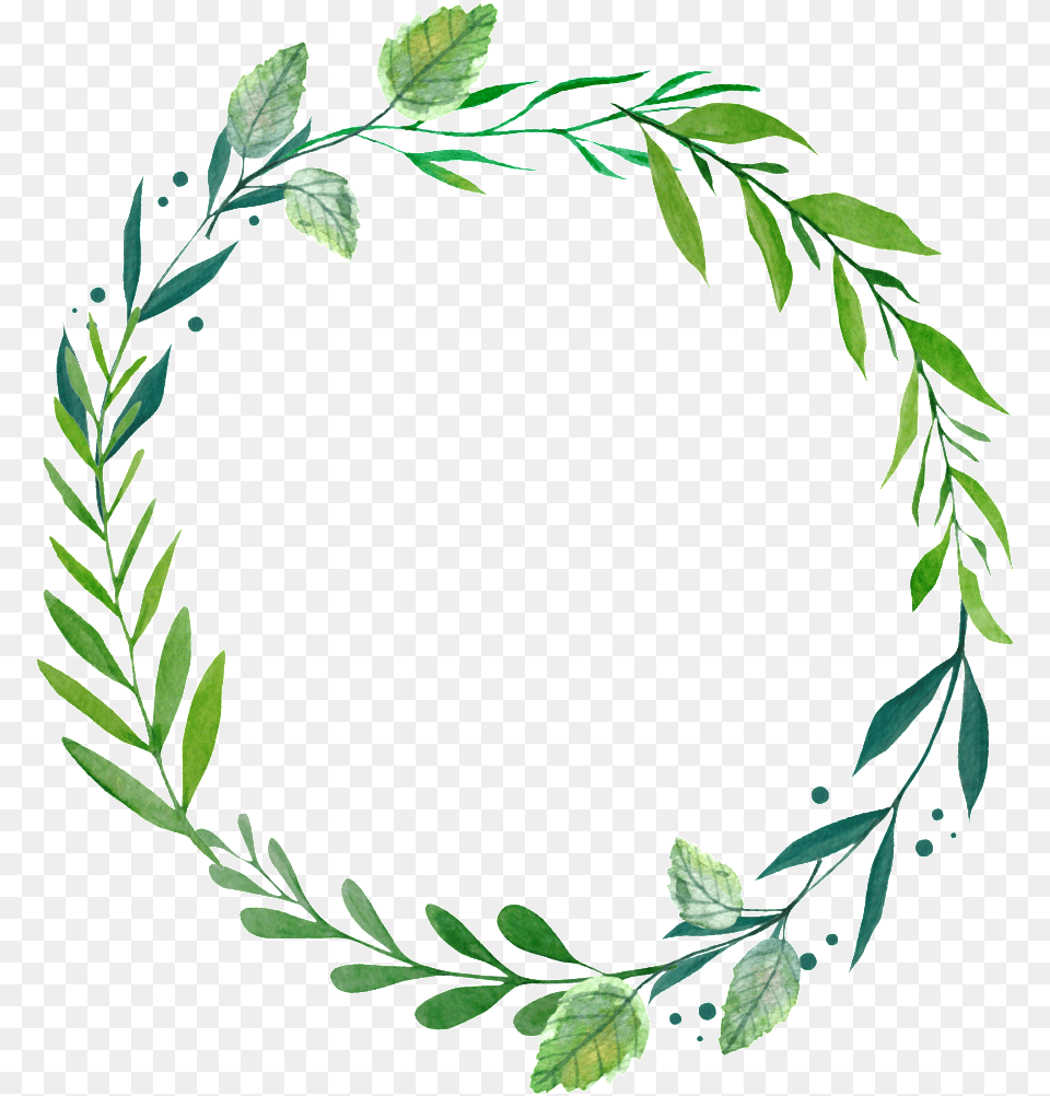 Minimalist Forest Willow Hand Painted Wreath Decorative Leaf, Herbs, Plant, Herbal, Green Png Image