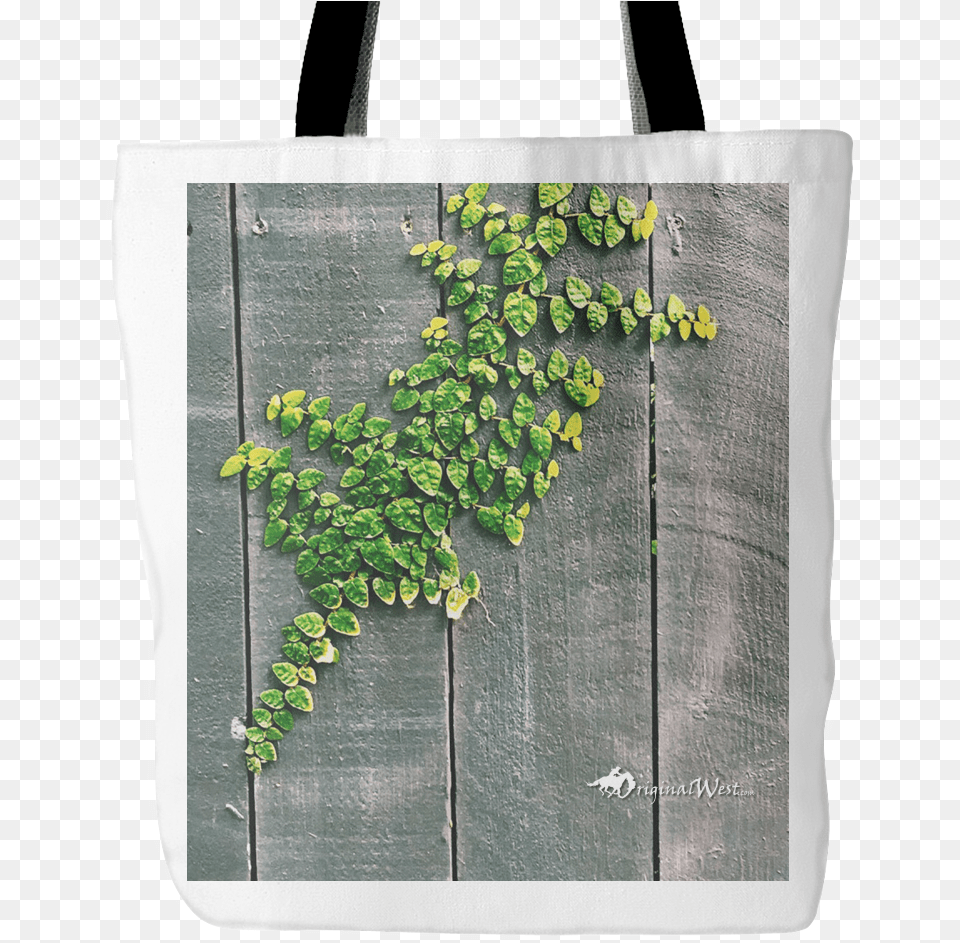 Minimalist Tree Photography Vine Growing On Wood Wall, Bag, Plant, Tote Bag, Potted Plant Free Png