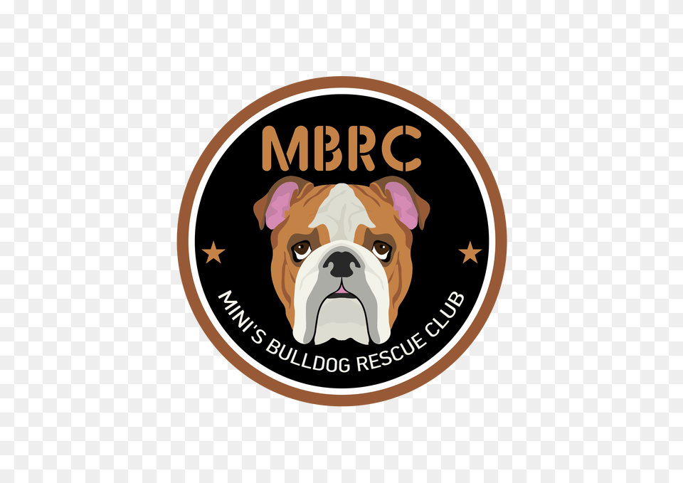 Minis Bulldog Rescue Club, Animal, Canine, Dog, Mammal Png Image