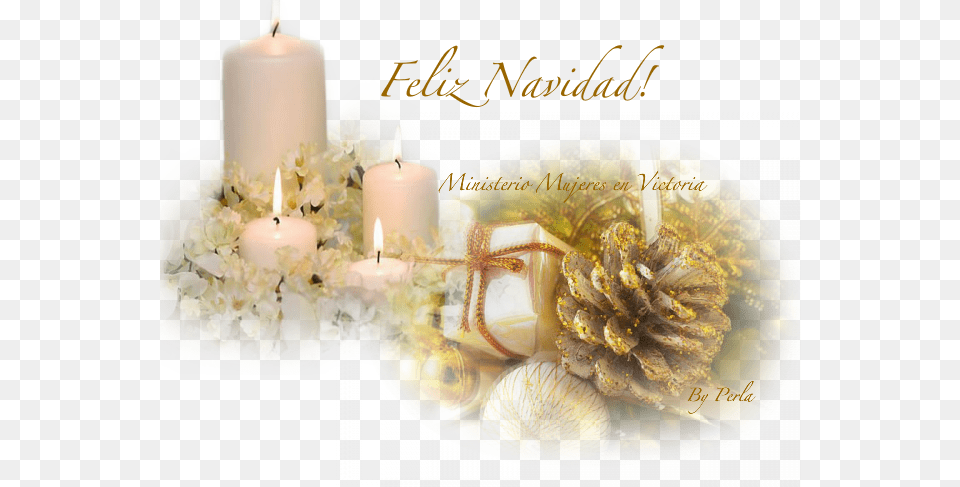 Ministerio Mujeres En Victoria, Fungus, Plant, Candle, Animal Png