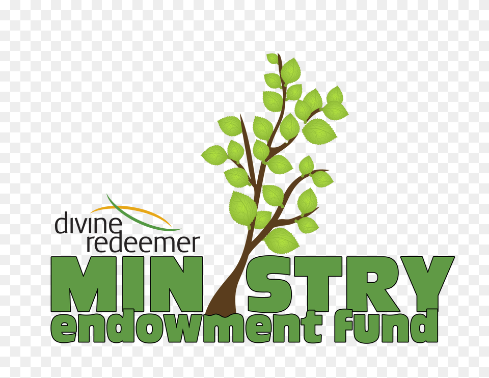Ministry Endowment Fund Divine Redeemer Lutheran Church School, Green, Plant, Tree, Leaf Free Png Download