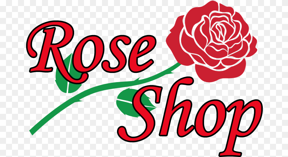 Minneapolis Florist Flower Delivery By Rose Shop Mn Rose Shop Mn, Plant, Carnation, Dynamite, Weapon Free Transparent Png