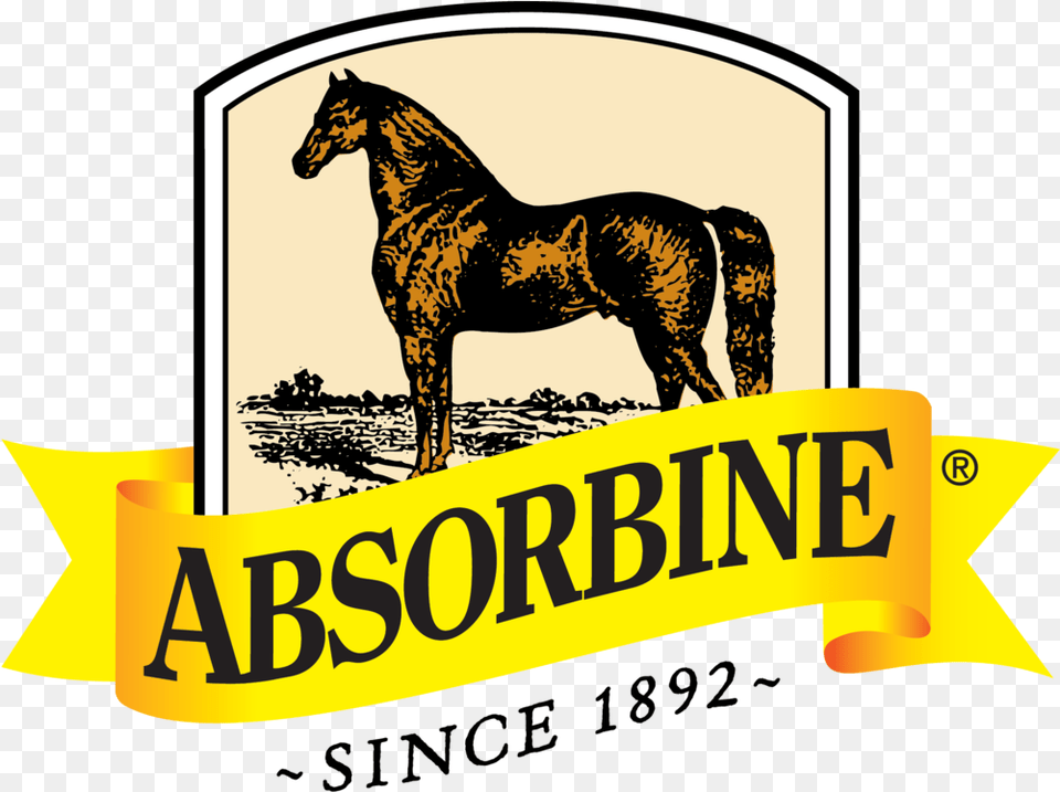 Minnesota Equestrian Sponsors Absorbine Logo, Animal, Horse, Mammal, Colt Horse Free Png