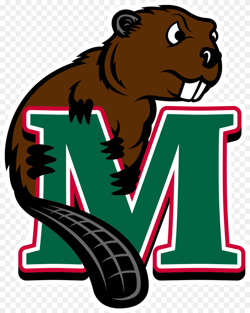 Minot State Beavers Minot State University Beavers, Animal, Mammal, Wildlife, Person Png Image