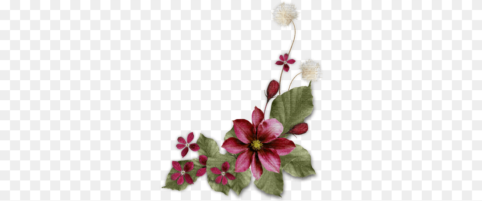 Minou Dark Red Flower Corner Download Memories Frame, Plant, Petal, Pattern, Graphics Png
