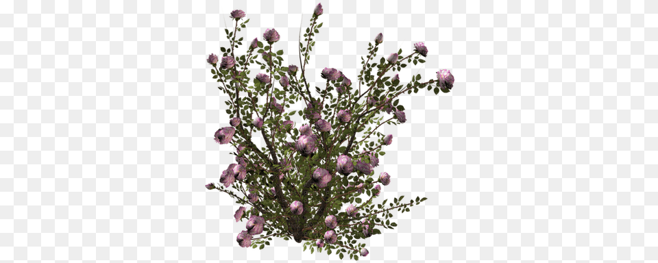 Minou Floral Bush Arbuste Floral Cespuglio Floreale Artificial Flower, Plant, Tree, Flower Arrangement, Mineral Png Image
