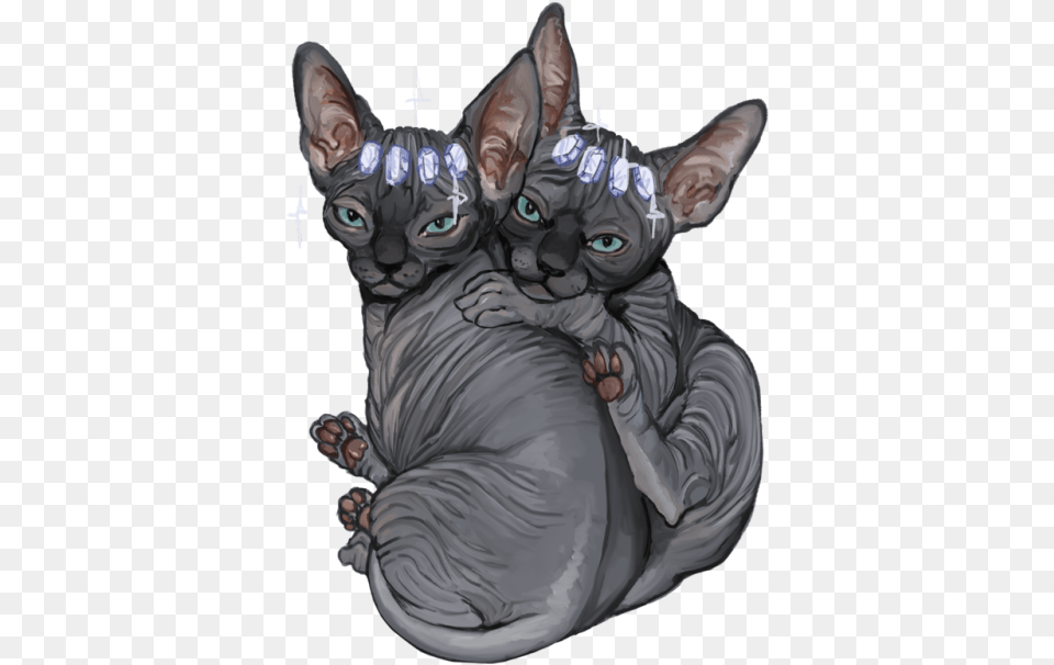 Minskin, Animal, Cat, Mammal, Pet Free Transparent Png