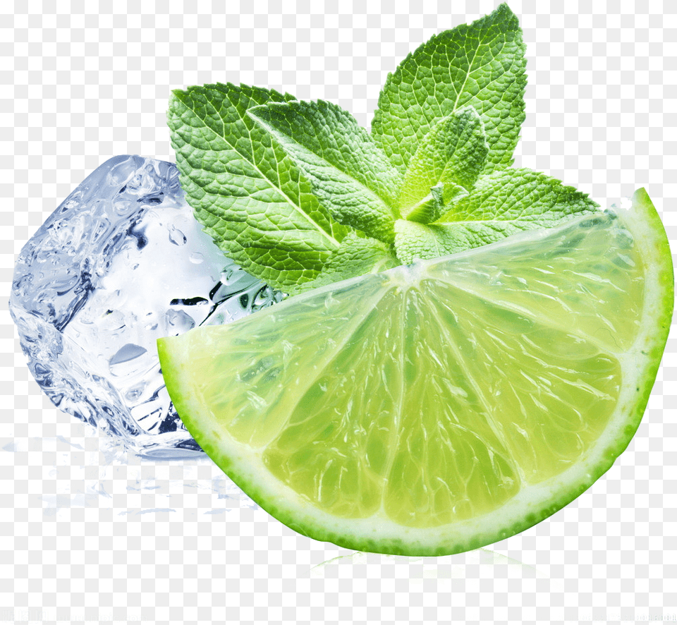 Mint And Lime, Citrus Fruit, Food, Fruit, Herbs Png Image