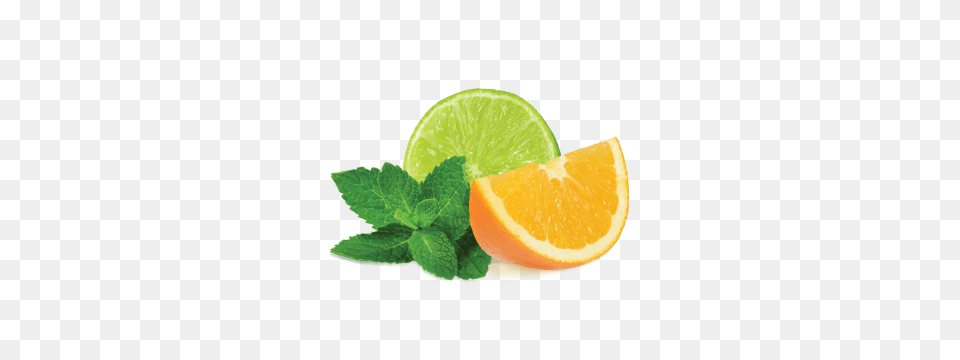 Mint Clipart, Citrus Fruit, Plant, Orange, Lime Free Transparent Png