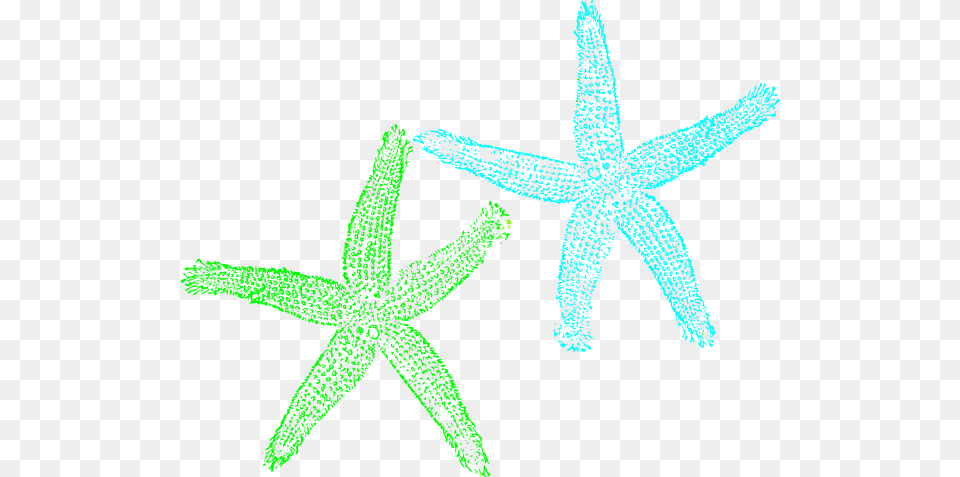 Mint Clipart Starfish, Animal, Invertebrate, Sea Life Free Transparent Png