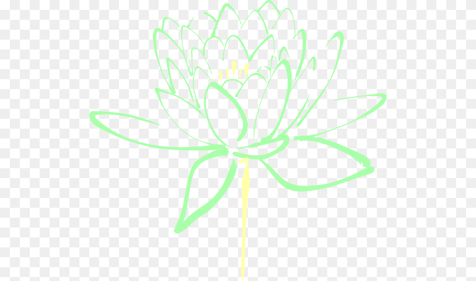 Mint Cream Lotus Clipart For Web, Dahlia, Flower, Plant, Anther Free Transparent Png