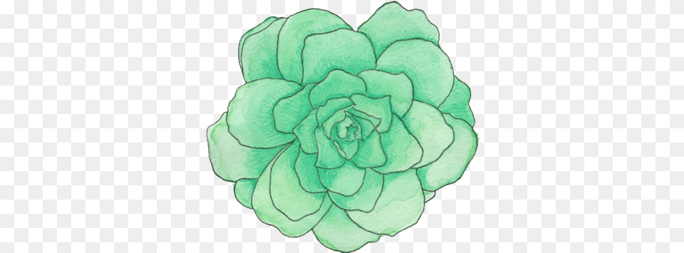 Mint Green Flower 3 Pastel Green Aesthetic Dahlia, Plant, Rose, Art Free Transparent Png