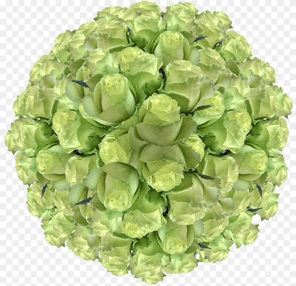Mint Green Roses Wholesale Lime Green Wedding Roses Artificial Flower, Plant, Pattern, Art, Floral Design Png