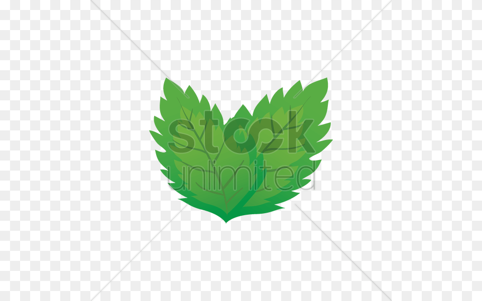 Mint Leaves Vector Image, Herbs, Leaf, Plant Free Png