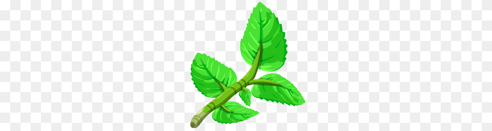 Mint Paradise Bay Wikia Fandom Powered, Herbs, Leaf, Plant, Green Free Png