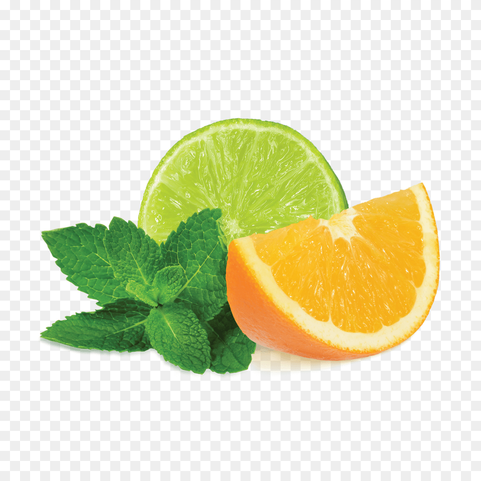 Mint Transparent Images, Citrus Fruit, Plant, Orange, Lime Free Png Download