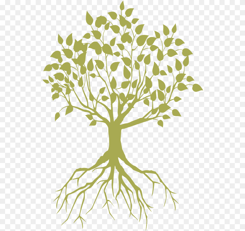 Mint Tree Olivegreen 01 Tree With Roots, Plant, Potted Plant, Root, Art Free Png