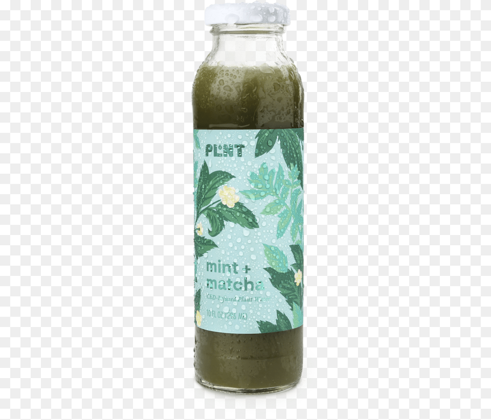 Mintmatcha Spike Mendelsohn, Herbal, Herbs, Plant, Beverage Png Image
