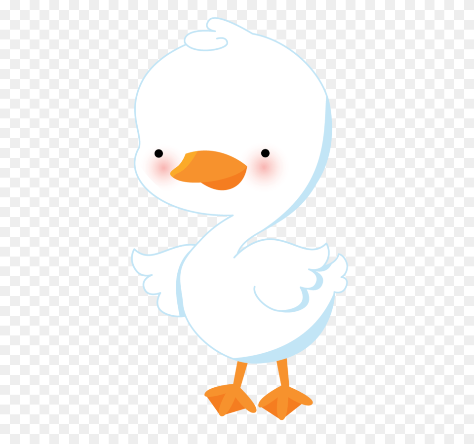 Minus, Animal, Bird, Waterfowl, Nature Png Image