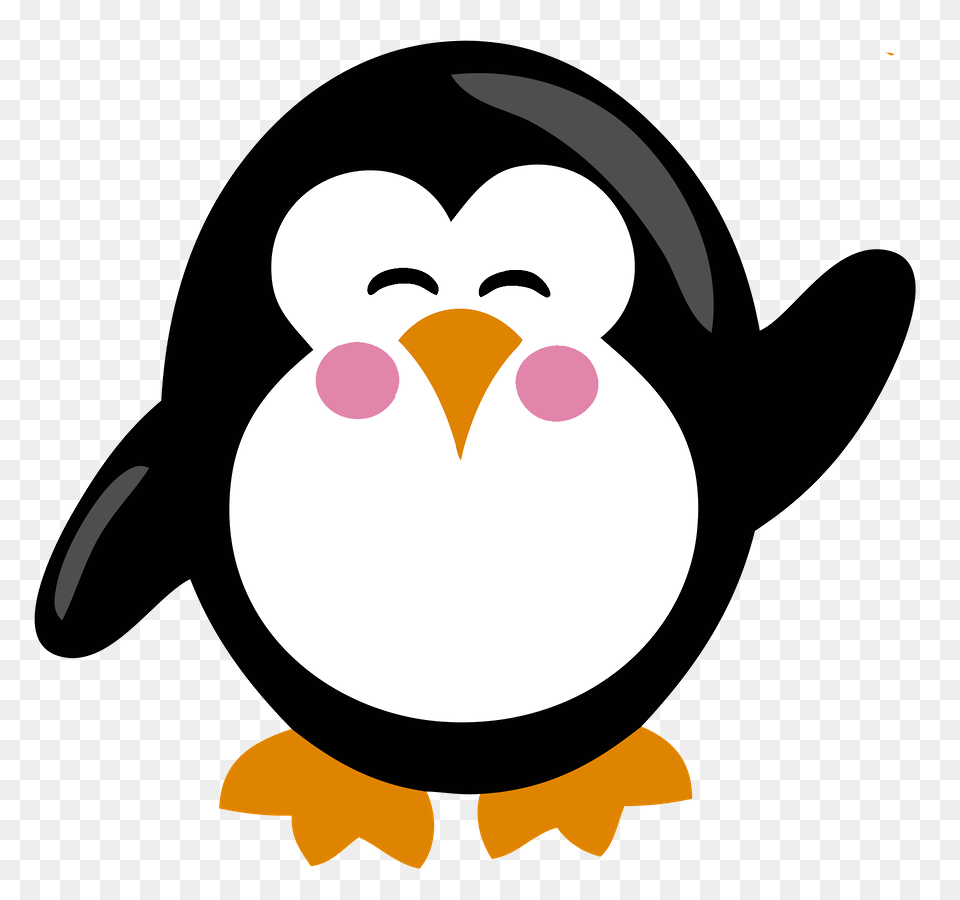 Minus, Animal, Bird, Face, Head Png