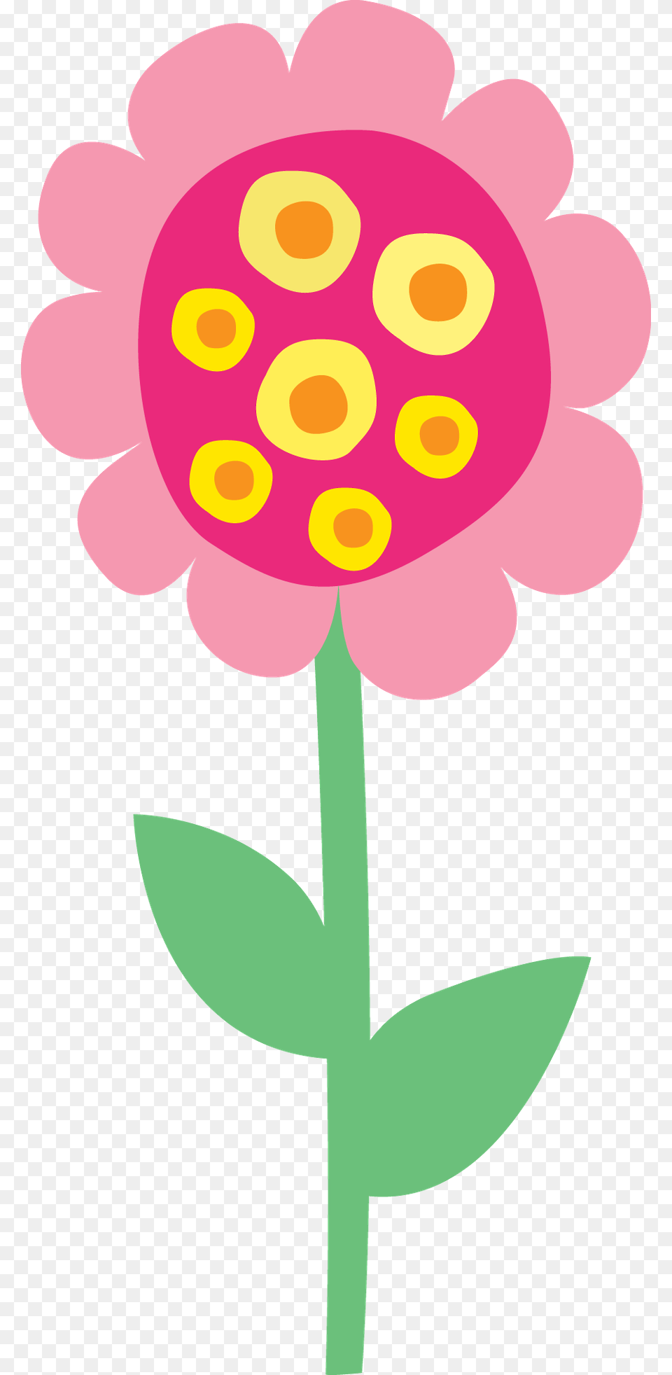 Minus, Daisy, Flower, Petal, Plant Png