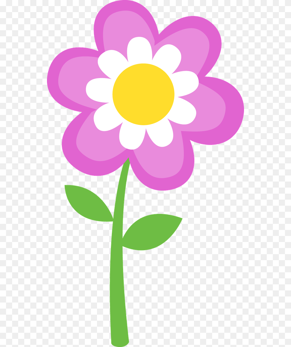 Minus, Anemone, Daisy, Flower, Plant Png