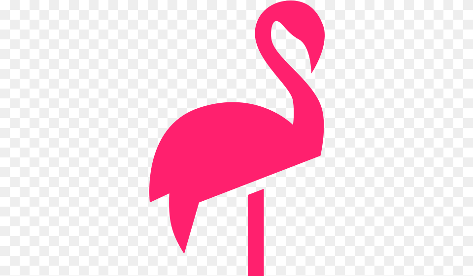 Minute Gift Card Flamingo Scooters Logo, Animal, Bird Png Image