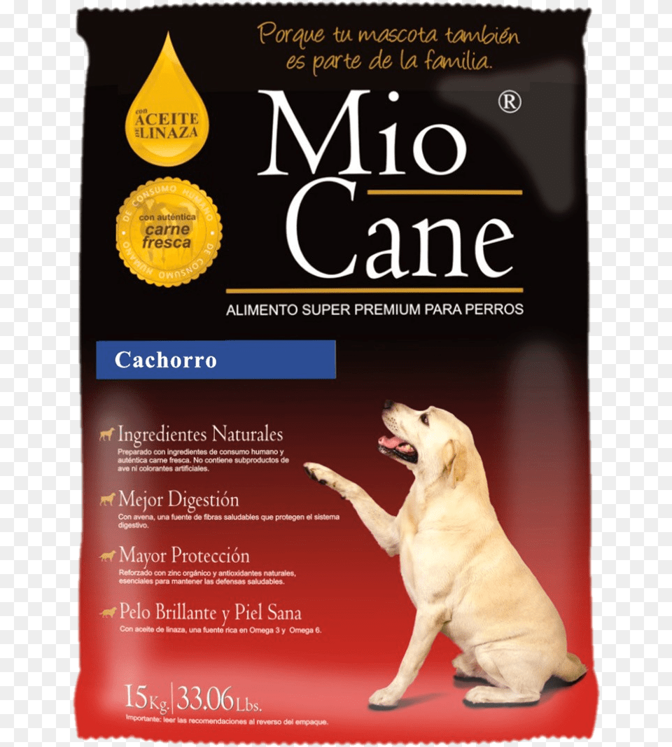 Mio Cane Cachorro Companion Dog, Advertisement, Poster, Animal, Canine Free Png Download