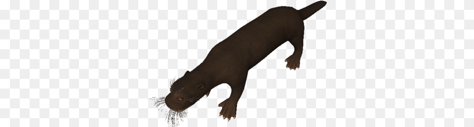 Miocene African Otter Ancestors The Humankind Odyssey Wiki Animal Figure, Mammal, Baby, Person, Wildlife Png Image