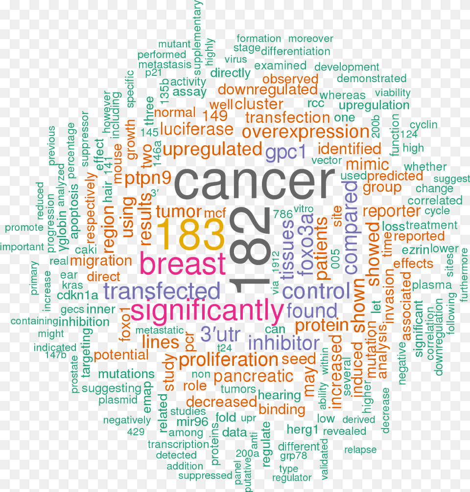 Mir 99b Target Luciferase Assay, Pattern Free Png