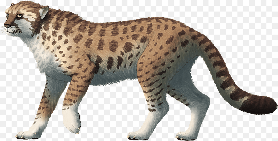 Miracinonyx A Feline From The Pleistocene Of North American Cheetah, Animal, Mammal, Wildlife, Dinosaur Free Transparent Png