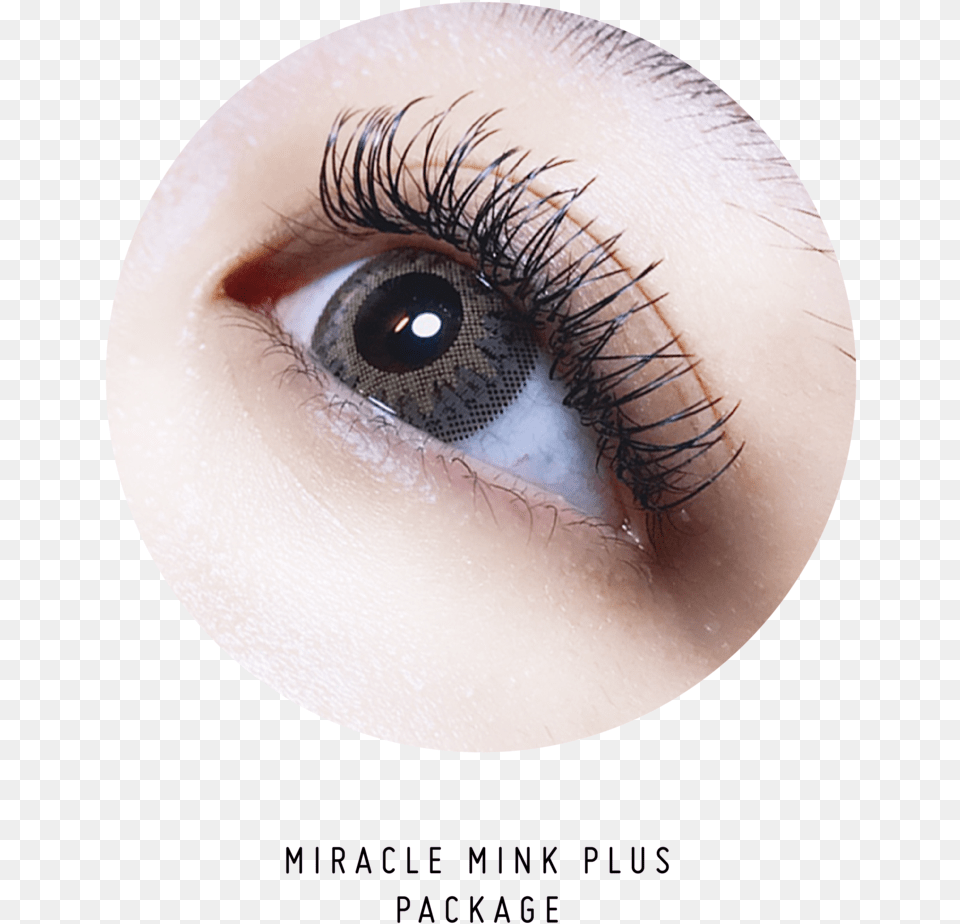 Miracle Mink Plus, Contact Lens, Person, Face, Head Free Transparent Png