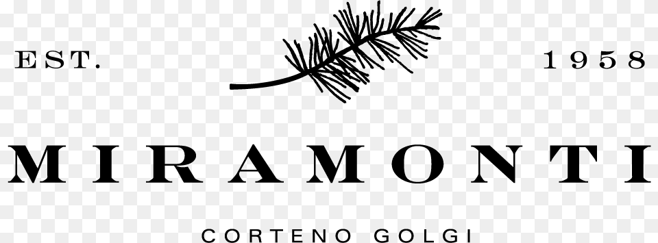 Miramonti, Plant, Tree, Fir, Conifer Free Transparent Png