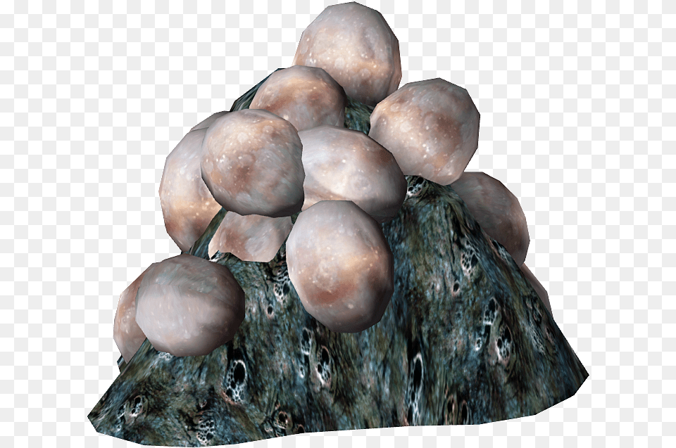 Mirelurk Eggs Fallout 4 Mirelurk Eggs, Accessories, Fungus, Plant, Agaric Png Image