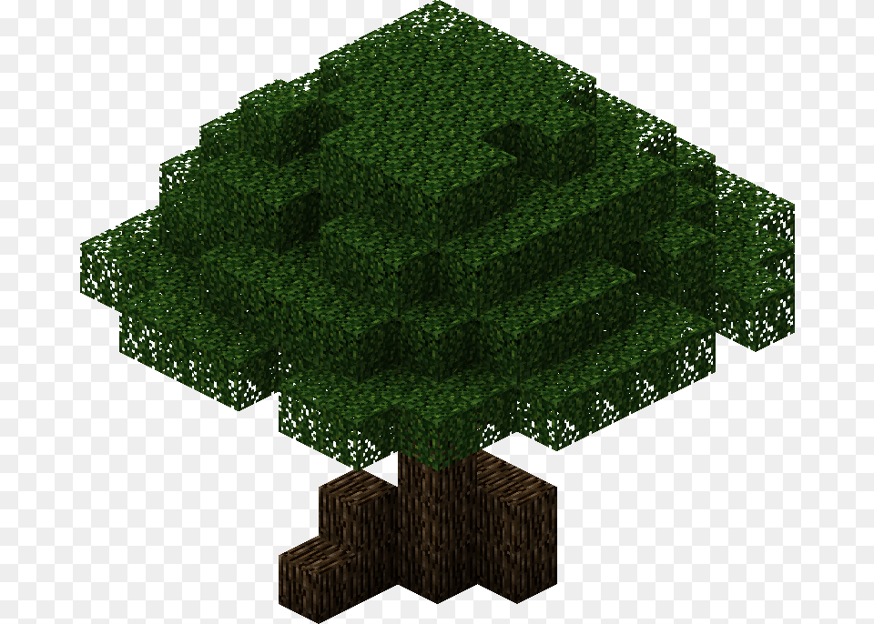 Mirk Oak Trees Grass Minecraft Oak Tree, Plant, Vegetation, Conifer, Land Free Png Download