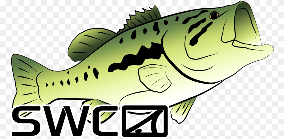 Mirror Largemouth Bass Decal Pull Fish Out Of Water, Baby, Person, Animal, Sea Life Free Transparent Png