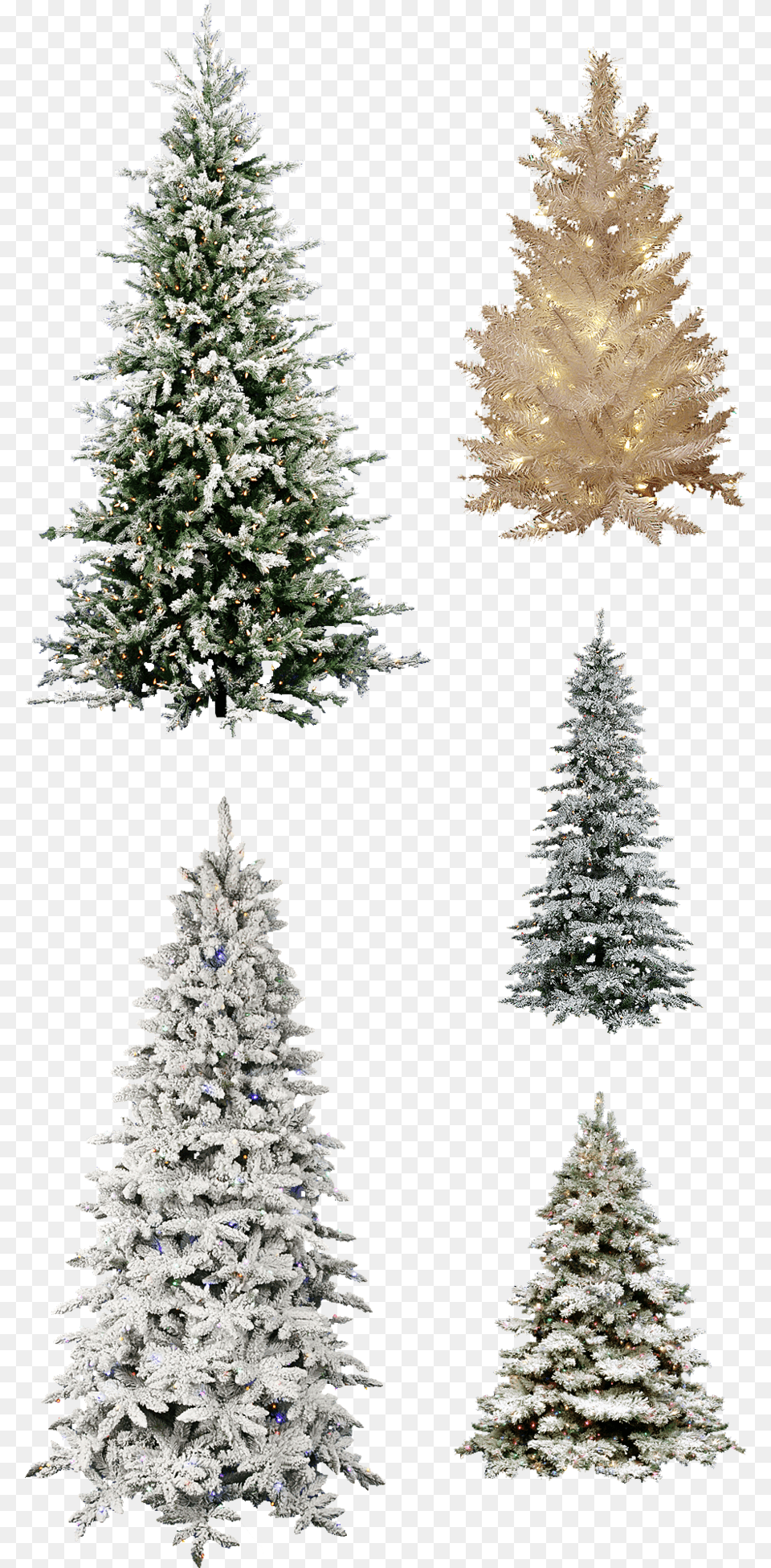 Misc Frosted Christmas Tree Christmas Tree, Plant, Christmas Decorations, Festival, Pine Free Png Download