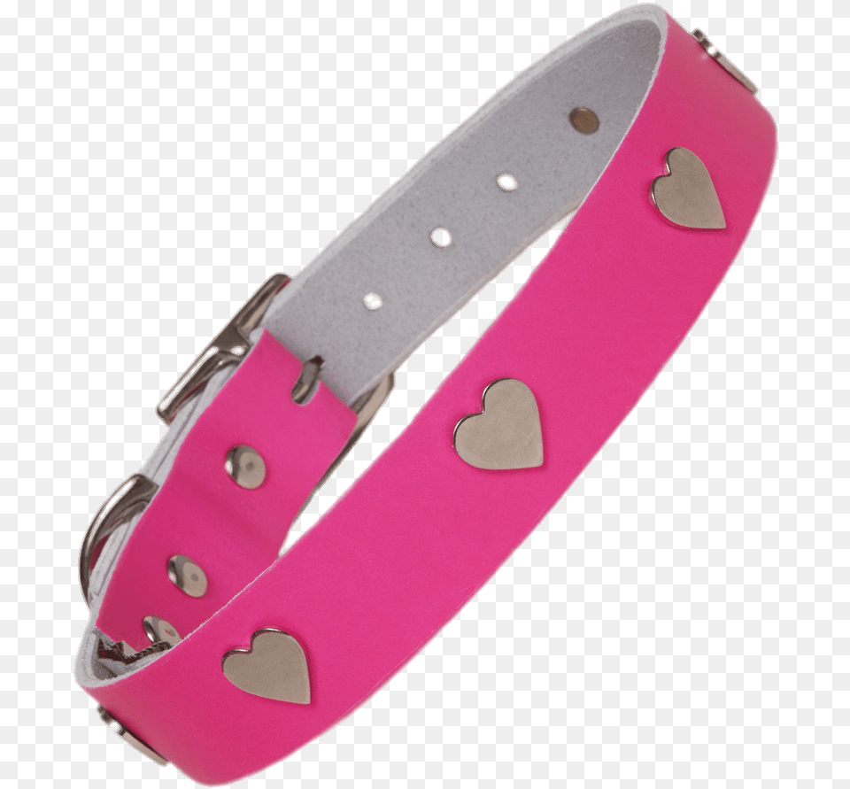 Miscellaneous Neon Pink Collar For Dogs, Accessories, Bracelet, Jewelry Free Png Download