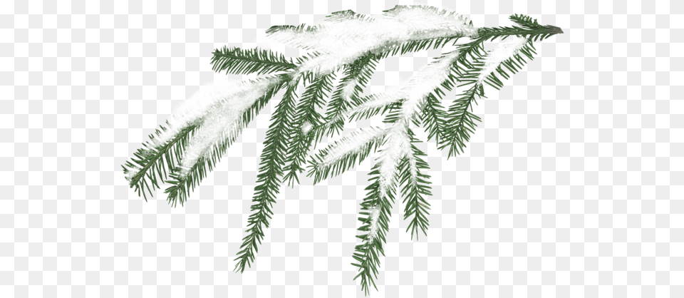 Miscellaneous Winter Greenery Clipart Weather, Tree, Plant, Outdoors Free Transparent Png
