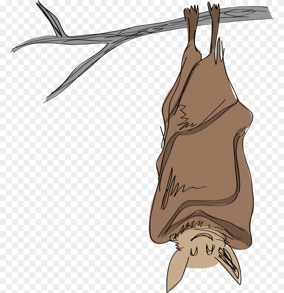 Misconceptions Human Activities And Now White Nose Hibernating Bat Clip Art, Animal, Mammal, Wildlife, Person Free Transparent Png