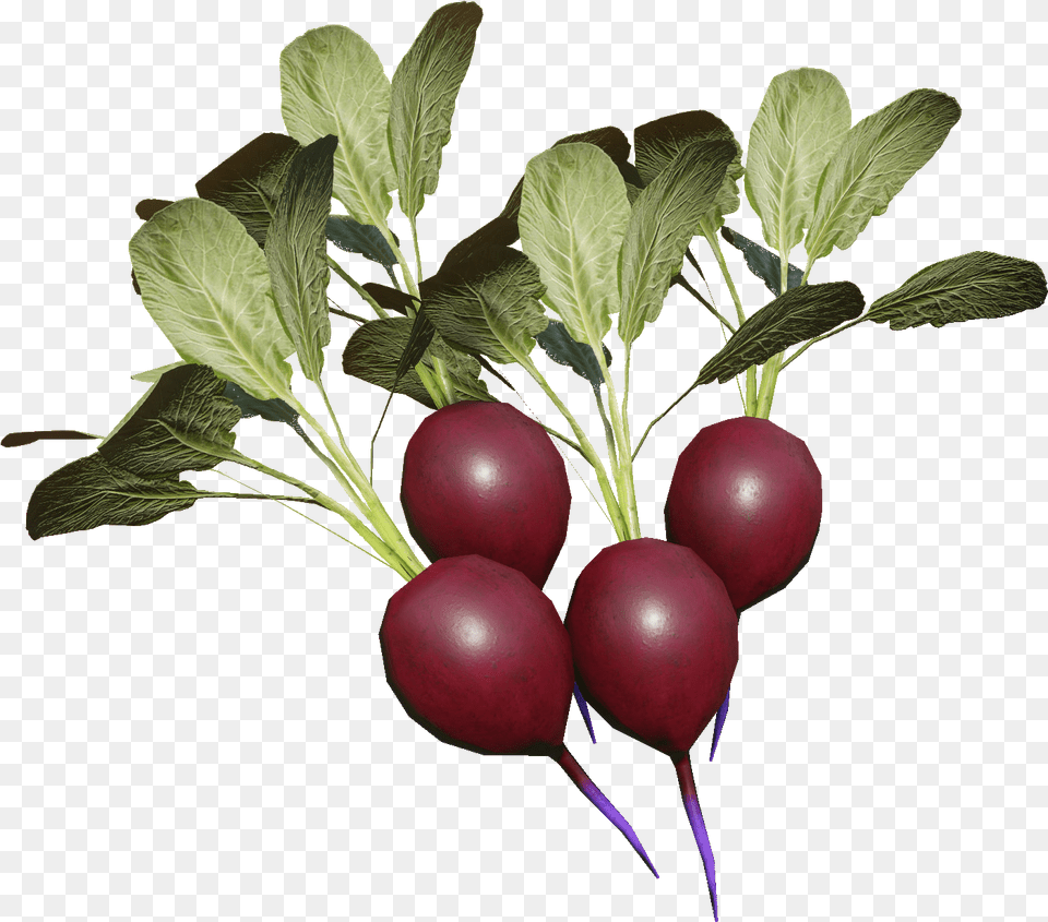 Miscreated Wiki Beet Greens, Food, Plant, Produce, Radish Png Image