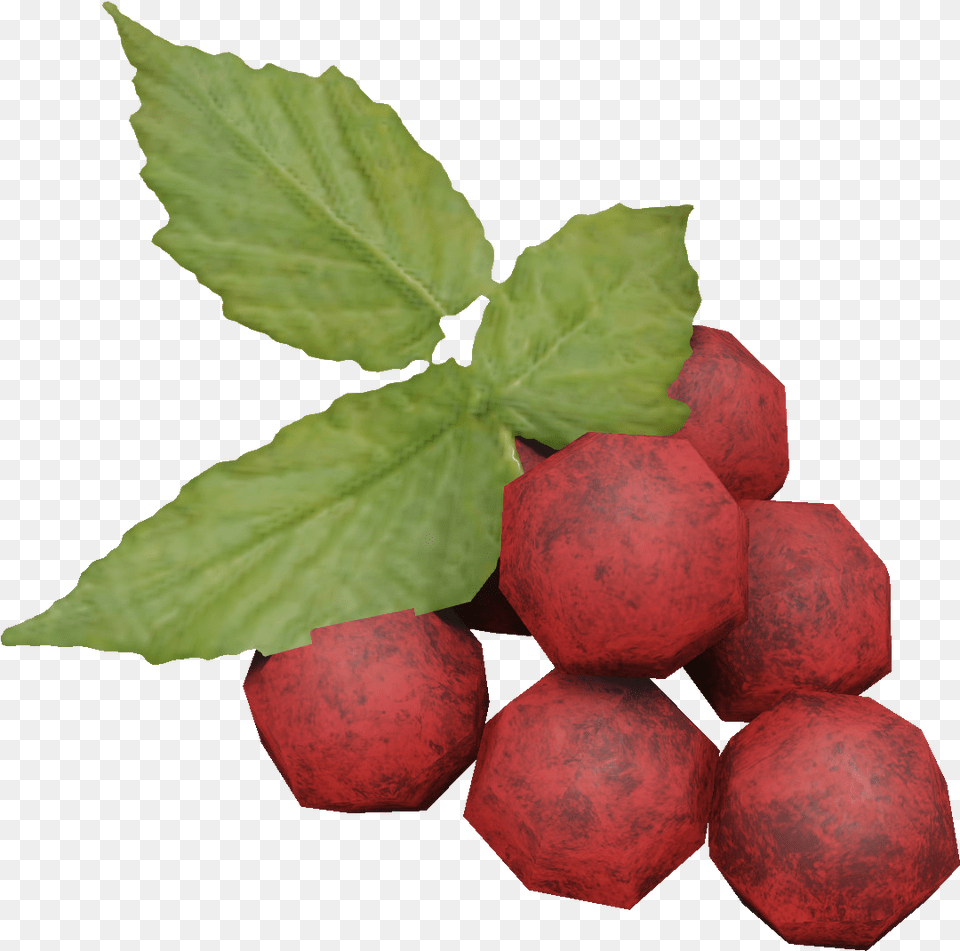 Miscreated Wiki Seedless Fruit, Leaf, Plant, Food, Produce Png Image