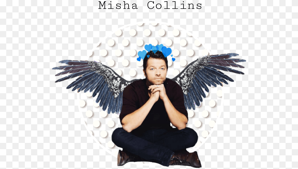 Misha Collins, Photography, Adult, Animal, Bird Free Transparent Png