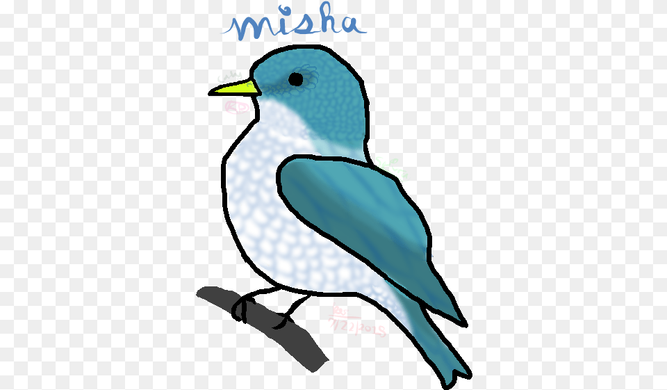 Misha Mountain Bluebird, Baby, Person, Animal, Beak Png